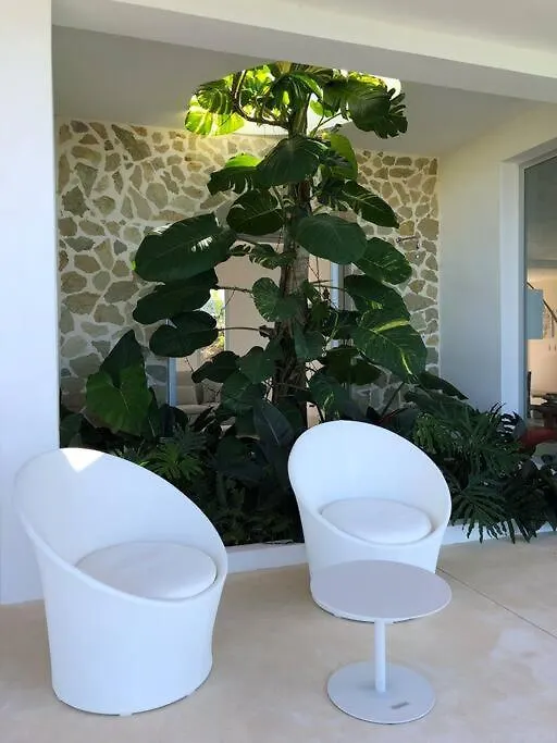 Villa Mirazul - Vue Mer Et Piscine A Debordement Las Terrenas