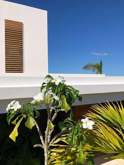 Villa Mirazul - Vue Mer Et Piscine A Debordement Las Terrenas Dominik Cumhuriyeti
